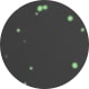 Matte Black/Gekko Green Splatter