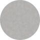 Matte Silver