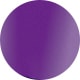 Shiny Violet