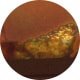 Top Brown/Pearl Gold & Brown