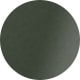 Matte Gunmetal/Green