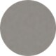 Shiny Gunmetal