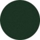 Shiny Green