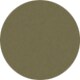 Shiny Transparent Olive Green
