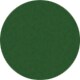 Shiny Transparent Dark Green