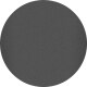 Grey Tortoise