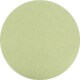 Transparent Khaki Green