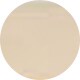 Light Gold Titanium