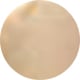 Light Gold Titanium