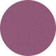 Shiny Transparent Violet