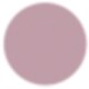 Shiny Transparent Violet