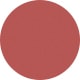 Shiny Transparent Burgundy
