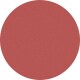 Shiny Transparent Burgundy