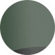 Shiny Transparent Green