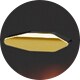 Matte Havana On Matte Arista Gold