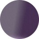 Violet On Transparent Violet